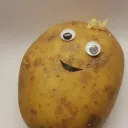 bartor_