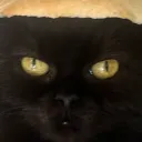 nekromantie