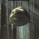 avatar shark in da forest