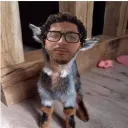 berichordie