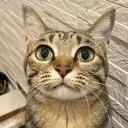 booooooooooooooooooooooooooooone