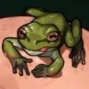 titothefrog