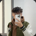 avatar /ˈsɪə.ri.əs/