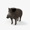 Аватар pavel.hodokovsky