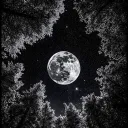 a7._