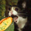 gaarlicbread