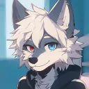 wolviza