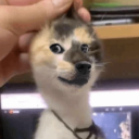 avatar Copiest C Marcuiz Hogglewonker X