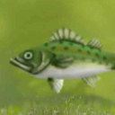 avatar Copiest C Von Dehames-Dorsal X