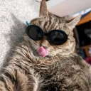 merlylicious