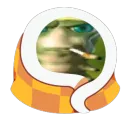 polimerto