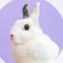 fantasticbunny