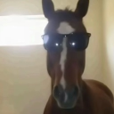 avatar 𝑇𝑜𝑔𝑎