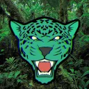 jadejaguar17