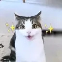illenicole