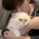 wanttoplayjett