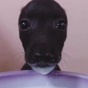 avatar ⸸ 𝔤𝔩𝔬𝔬𝔪. ⛧