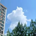 jeon_bok