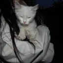 cattzo avatar