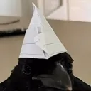 d.rd