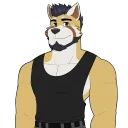 chrisxd01