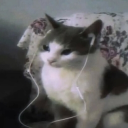 avatar shiggy˙⋆✮