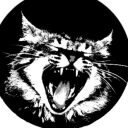 avatar shiggy˙⋆✮