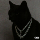 avatar where tf my reefer