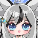aerink_vt