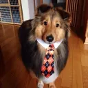 puppv