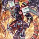 Cava's Avatar