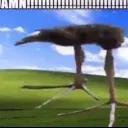 slyyshadow