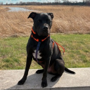 avatar Ash Duhhhh Ley 🐇