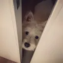 kellyooy