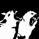 avatar ⃟⃟⃟⃟⃟⃟⃟⃟⃟⃟