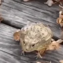 Аватар tema_mema