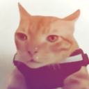 avatar Jorkenma Wiener