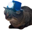 allric