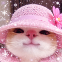 avatar ѕησωƒℓαкє❆