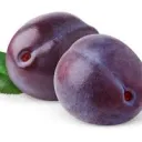 plumbgame