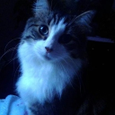 avatar Vannr