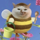 avatar DPWH contractor