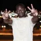 thepeacedealer