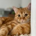 terrance.augustus's profile picture