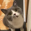 syuu_563