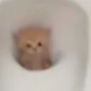 _j_u_