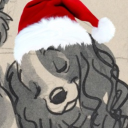 avatar wren 🦇⋆˙﹒♱