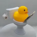 stermxmff