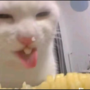 847361092357's Avatar