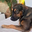 curiousjure